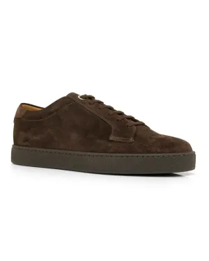 Molten Suede Sneaker in Dark Brown
